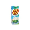 FATIGON HYDRO 250 ML